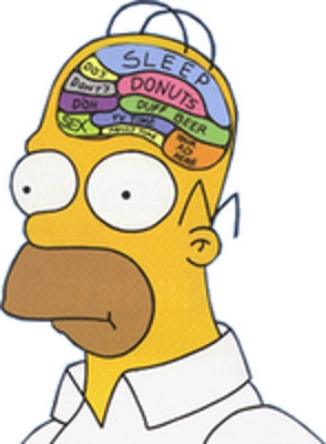 Homer has his brain departments all sorted